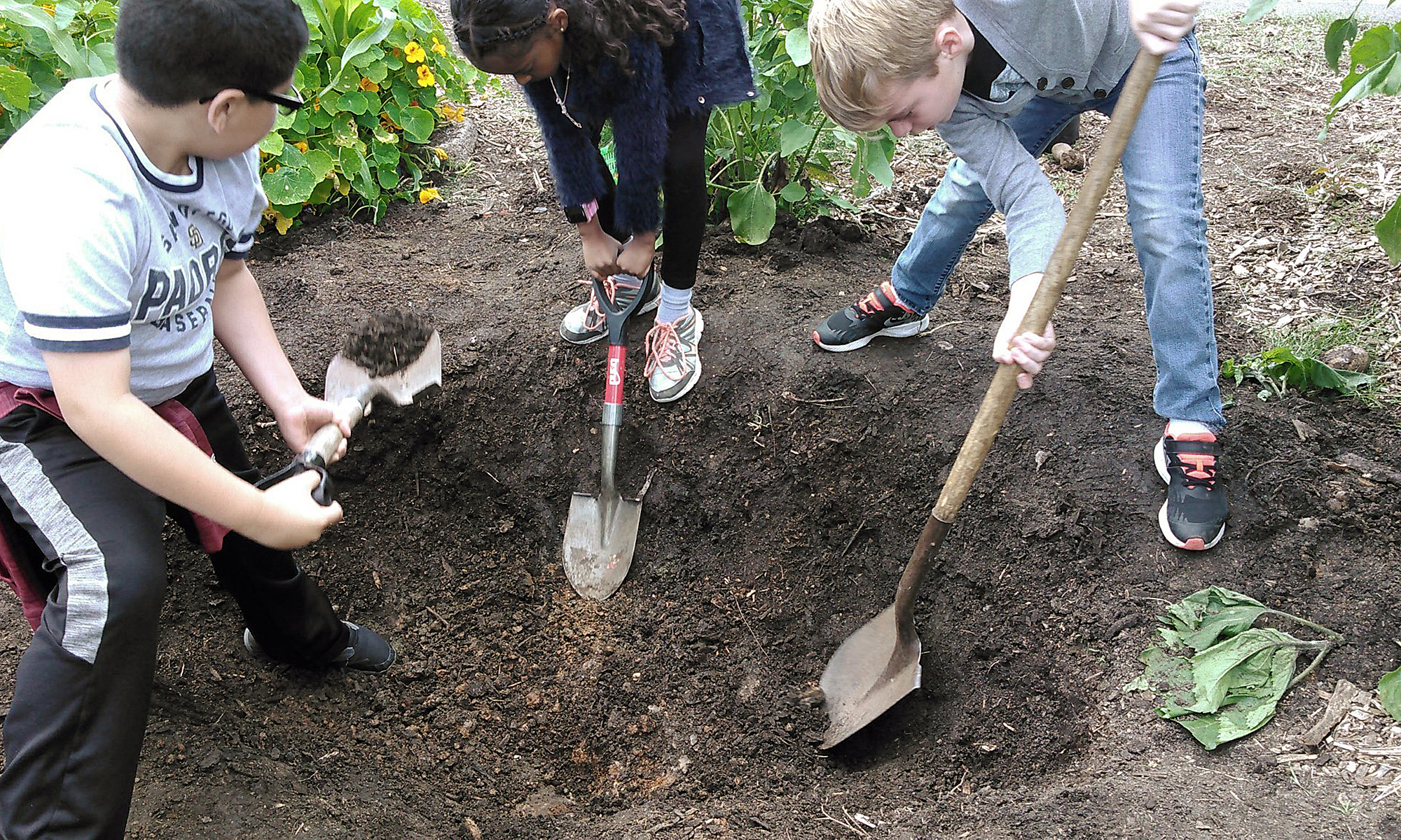 Kids Digging Down Deep Gardening Education